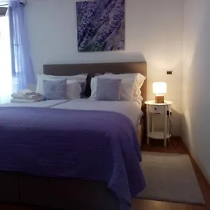 Serafin-lavanda , Motovun Croatia